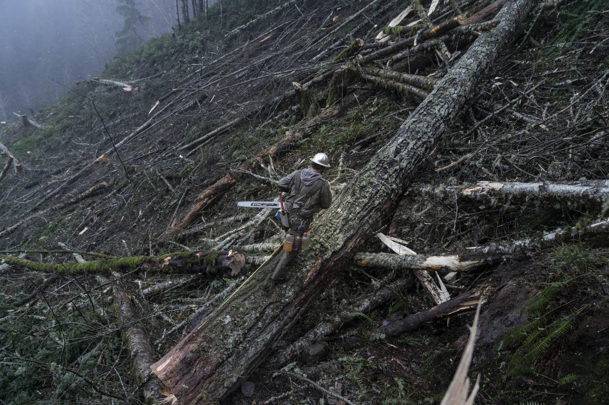 Faller navigating a steep slope covered in felled timber