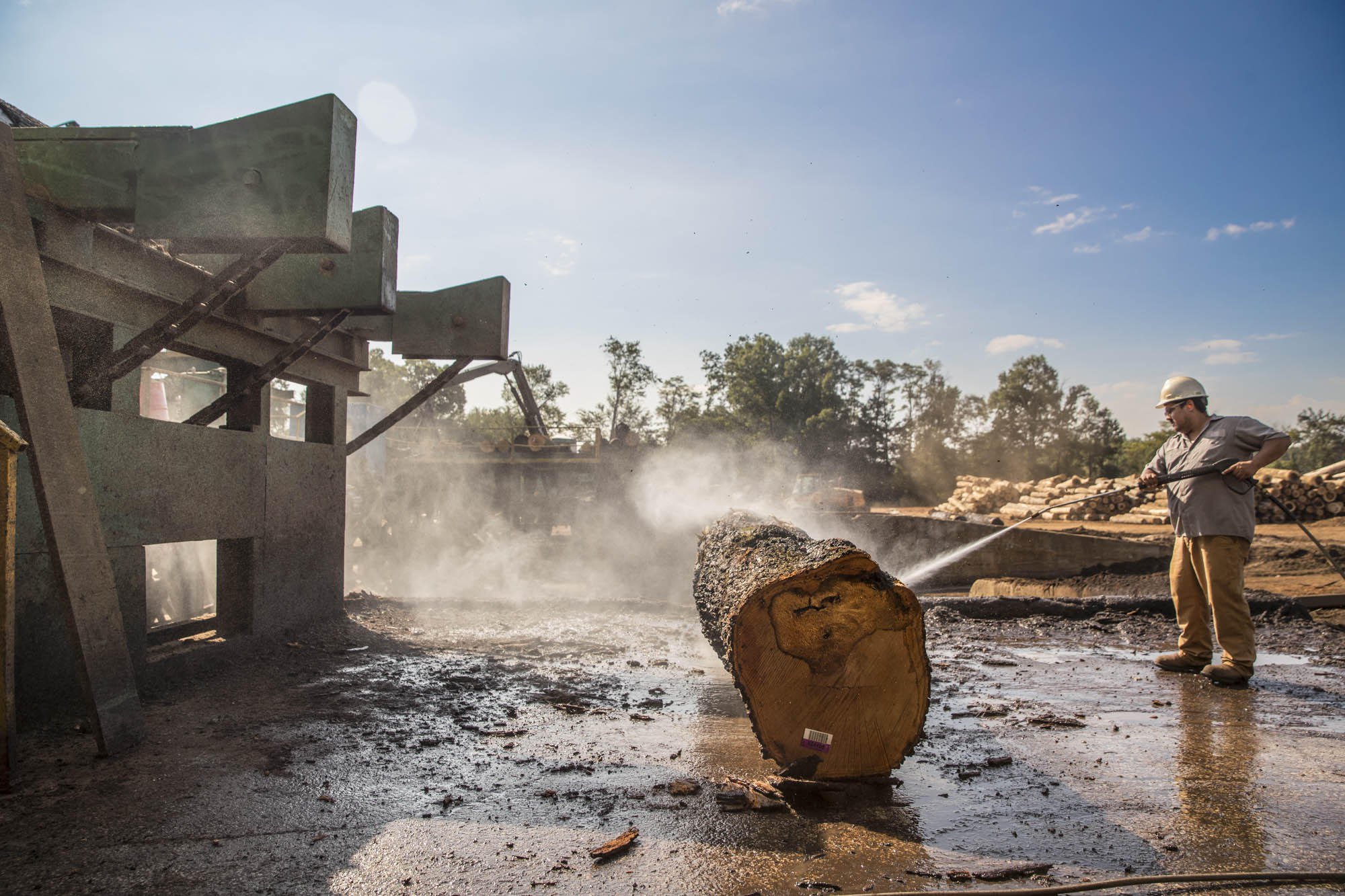 Worker pressure-washing a log before milling