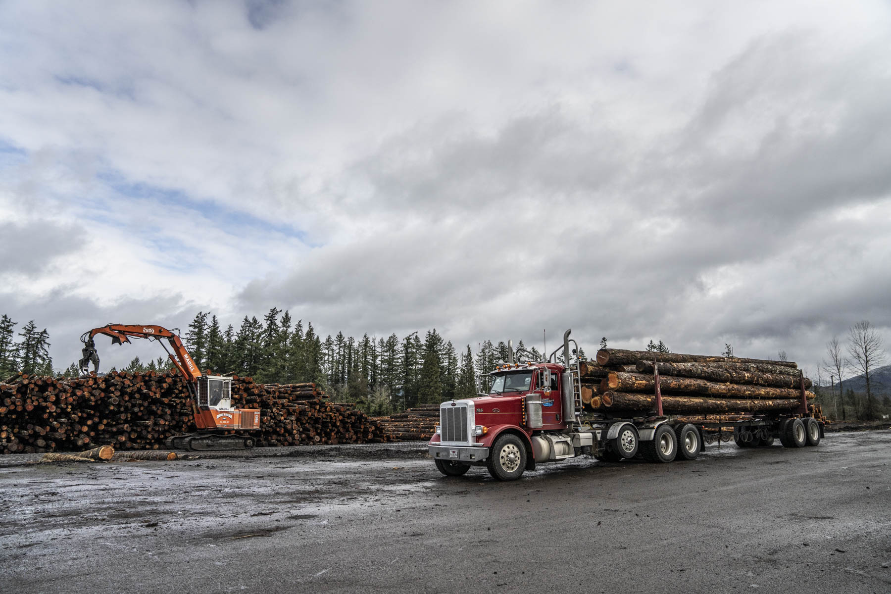 Loaded log truck beside material-handling equipment in an active timber yard