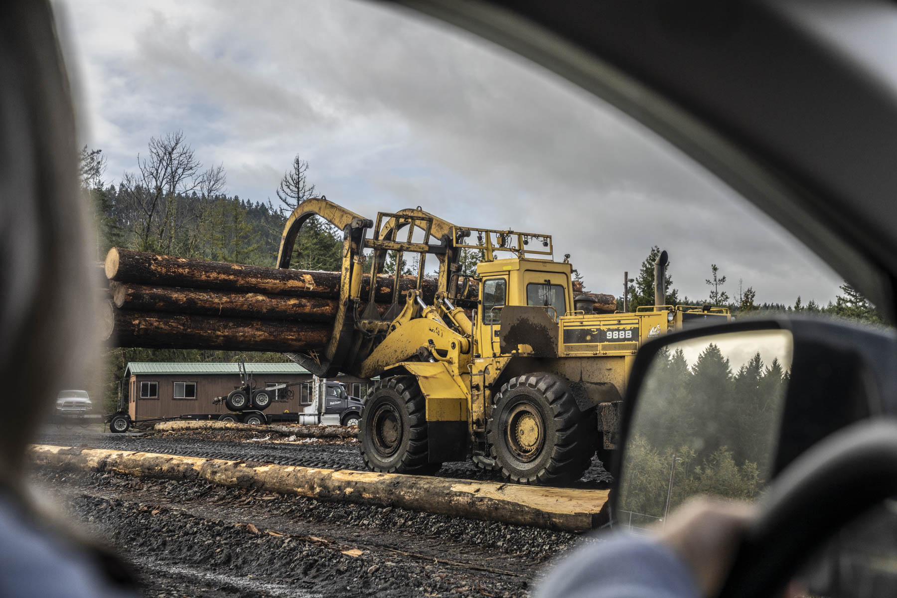 Log loader moving timber, photographed through an equipment cab