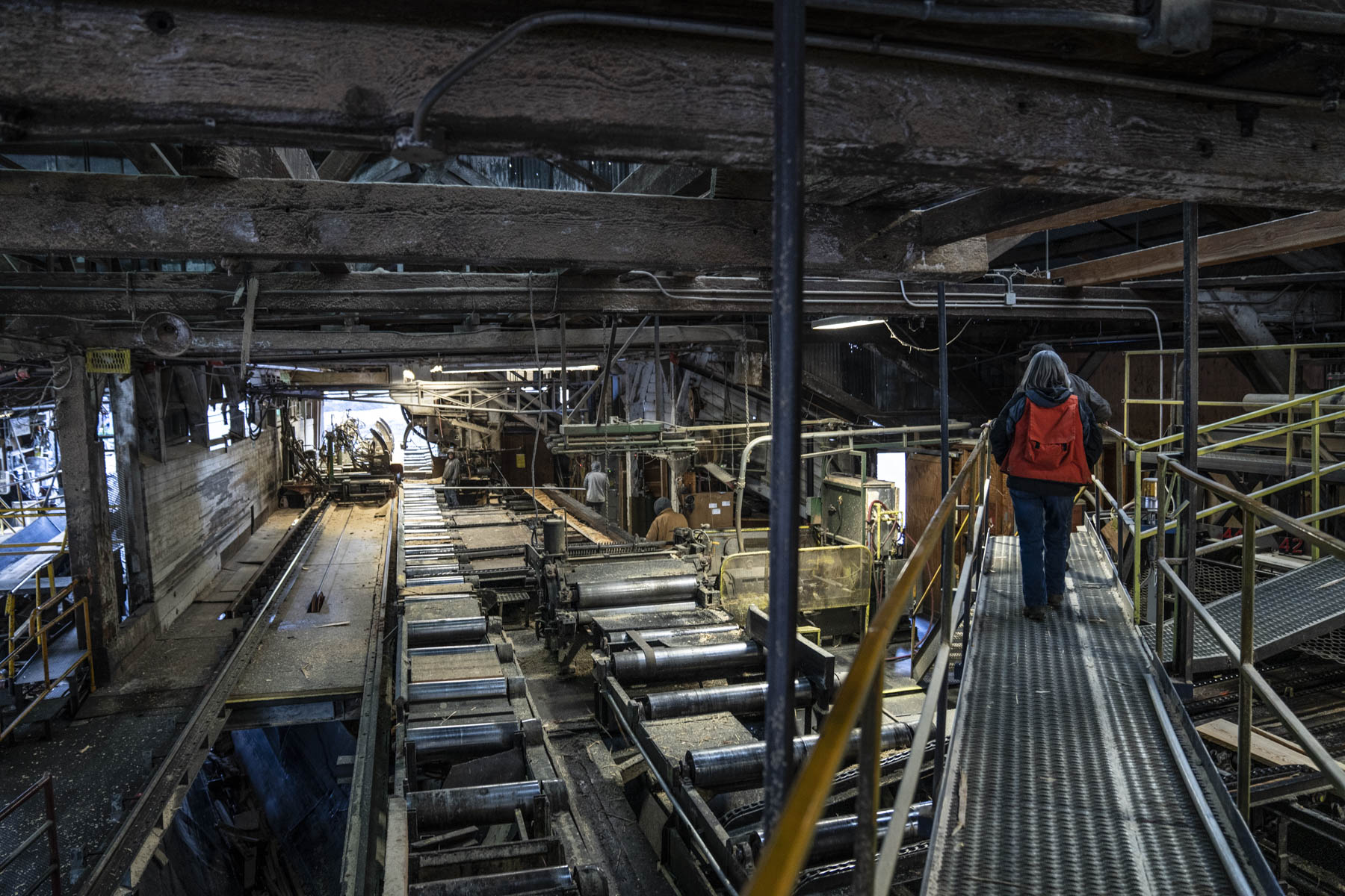 Worker crossing an elevated catwalk above active sawmill machinery